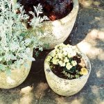 pots