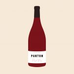 Panton_Wine Illustrations_PinotNoir